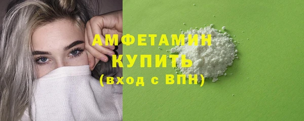 прущие грибы Корсаков