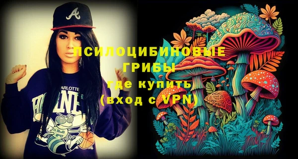 гашик Снежинск