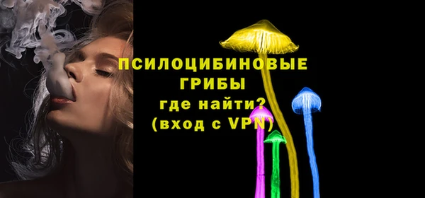 дмт Снежногорск