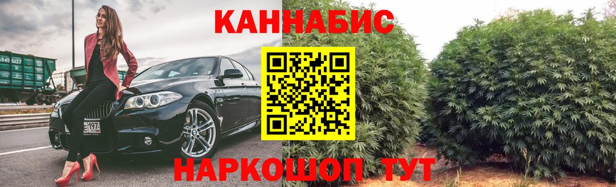 Бошки Шишки VHQ Строитель